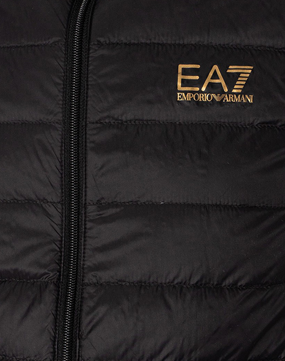EA7 DOWN WAISTCOAT