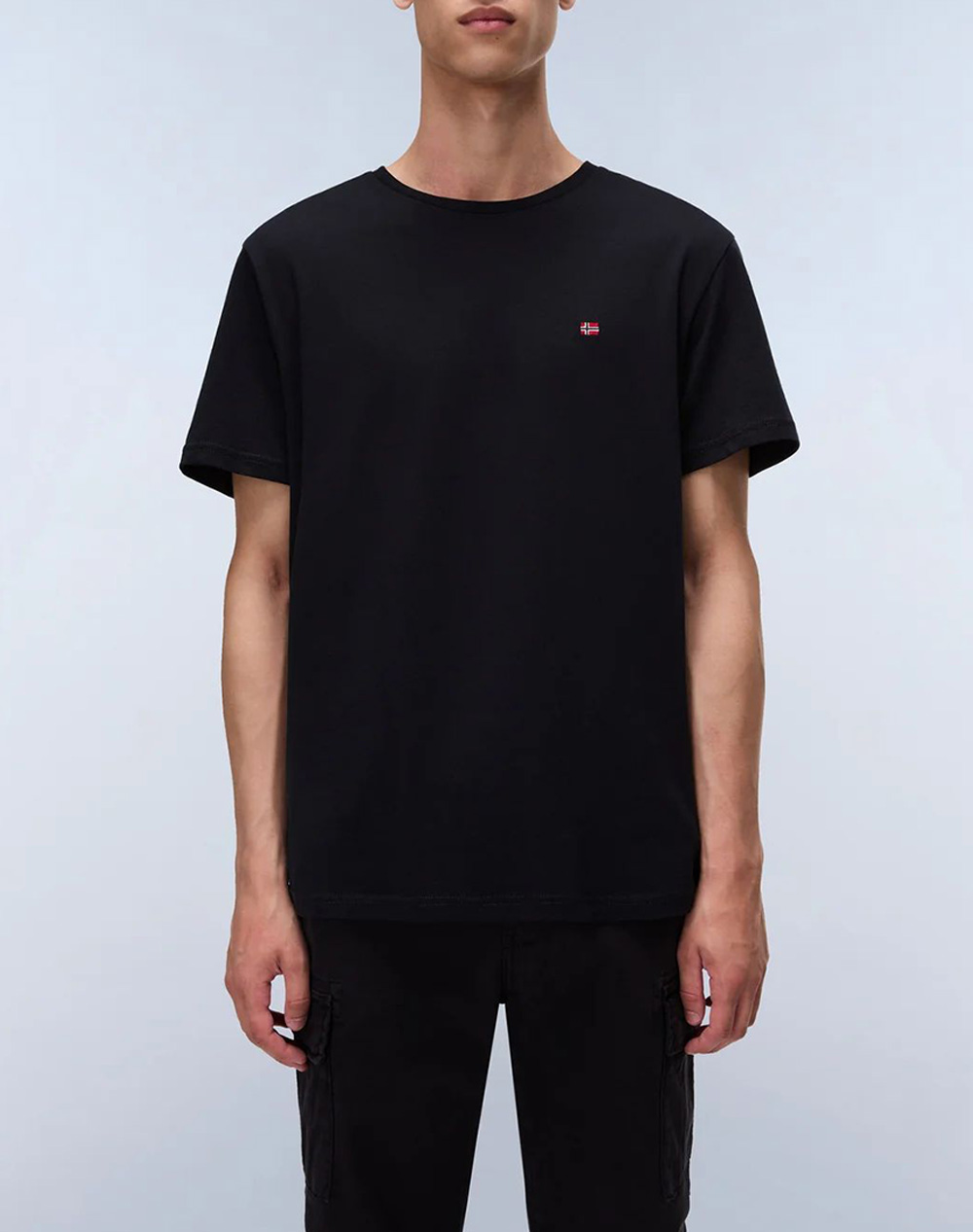 NAPAPIJRI SALIS SS SUM