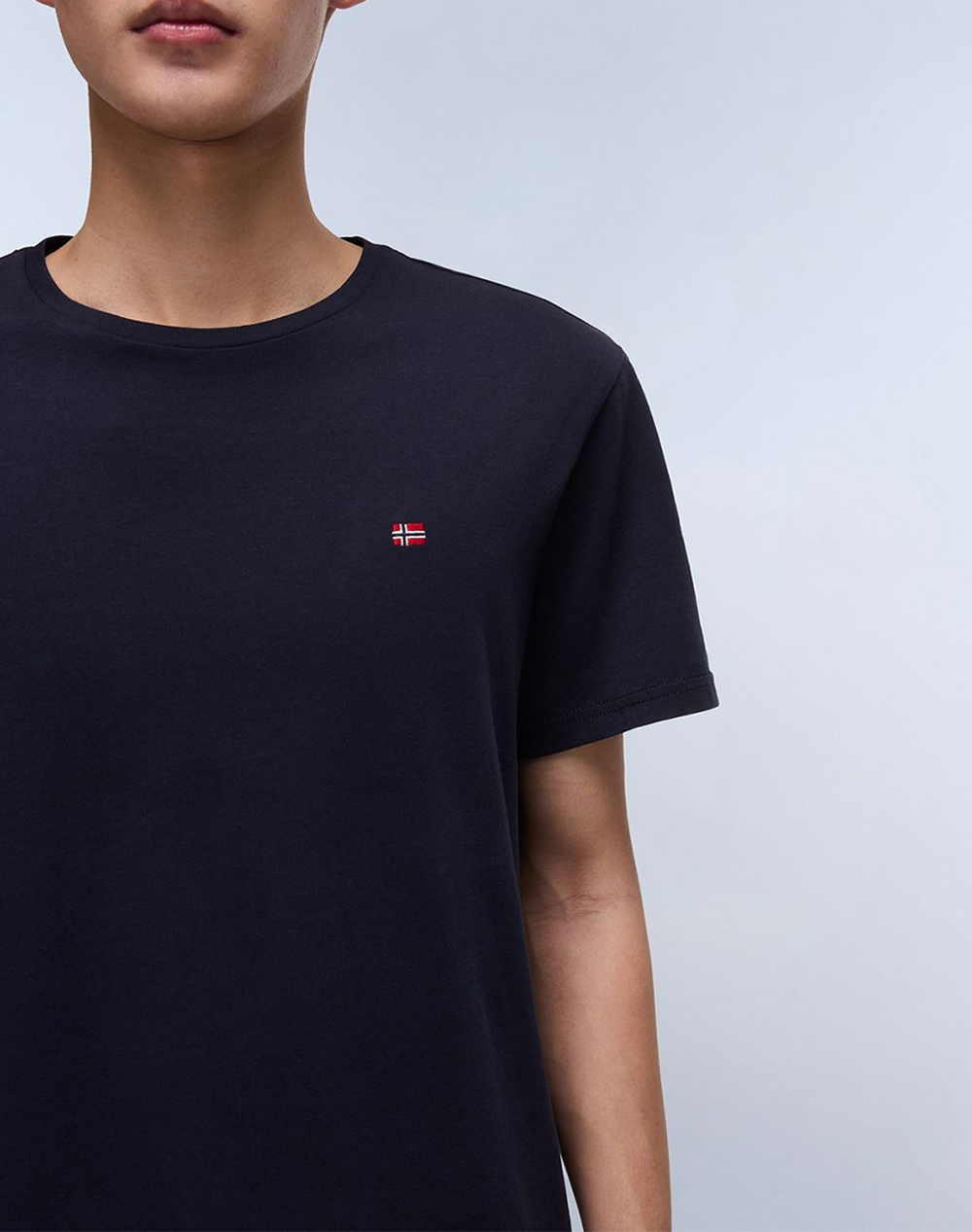 NAPAPIJRI SALIS SS SUM