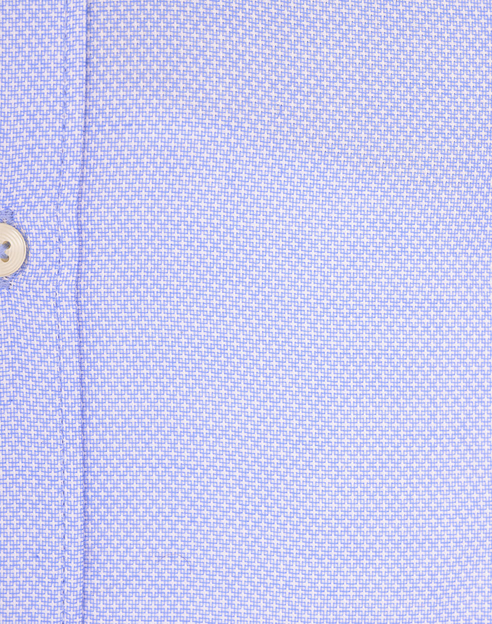 ASCOT SHIRT