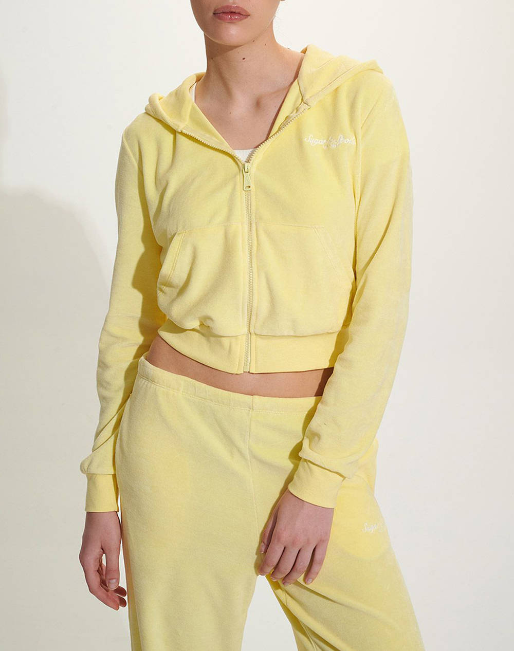 SUGARFREE JACKET