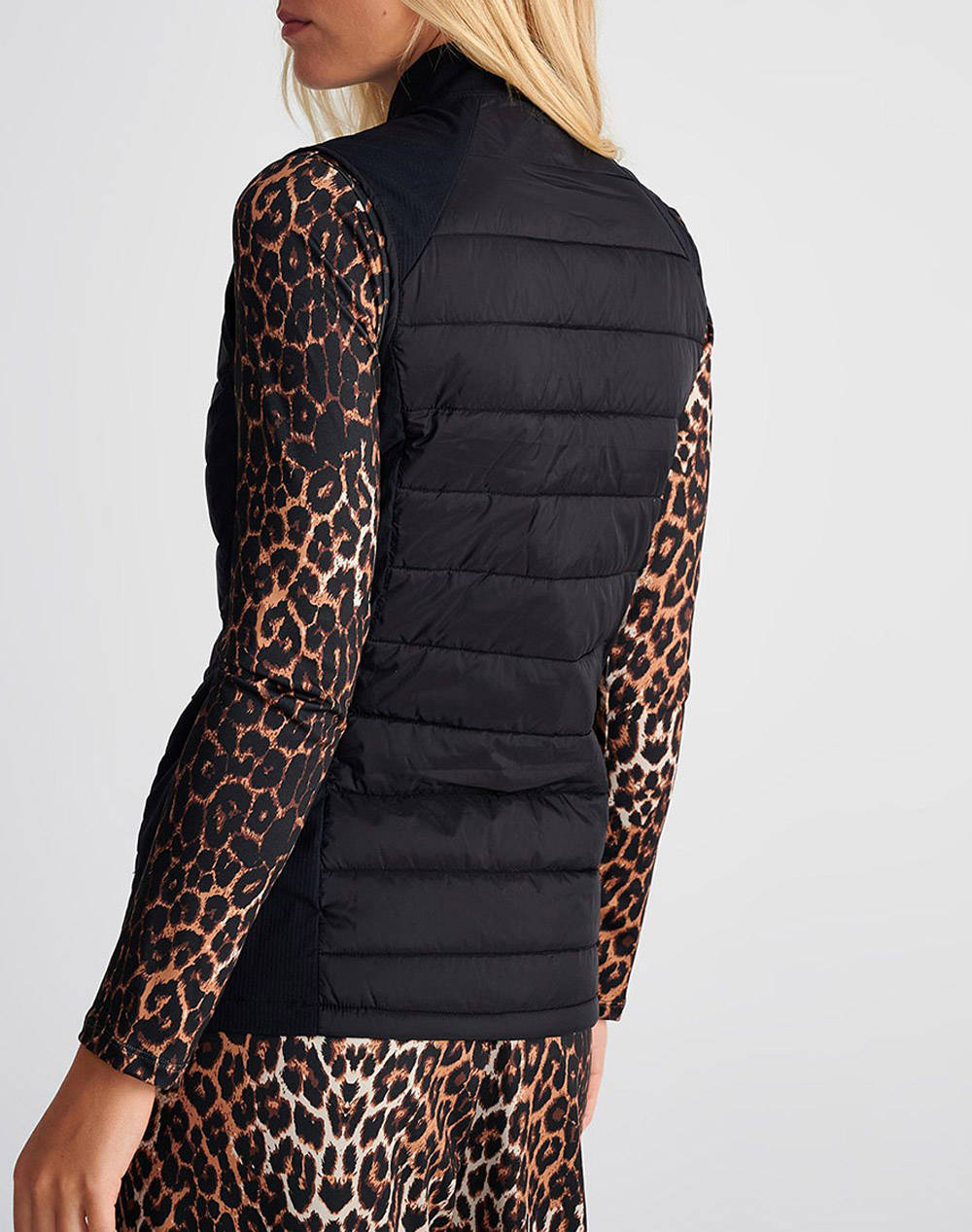 SUGARFREE JACKET