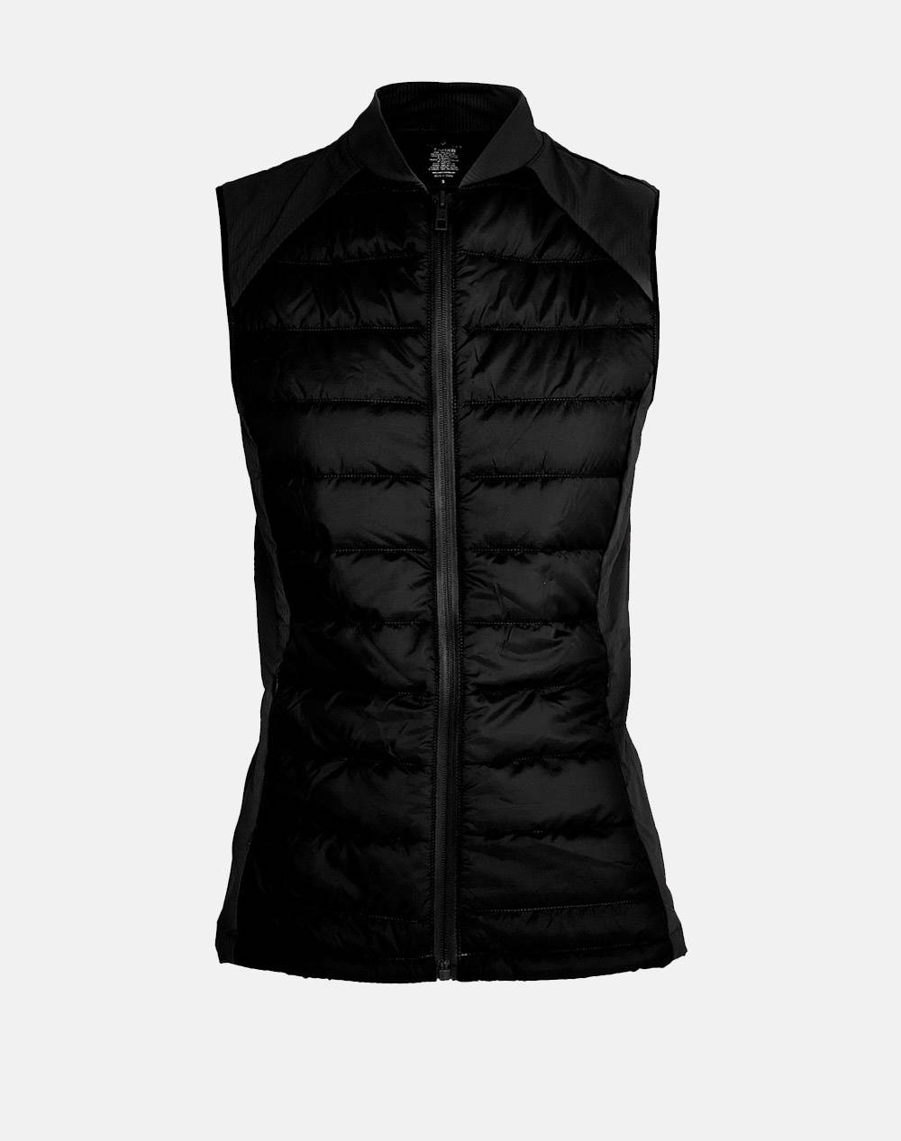SUGARFREE JACKET
