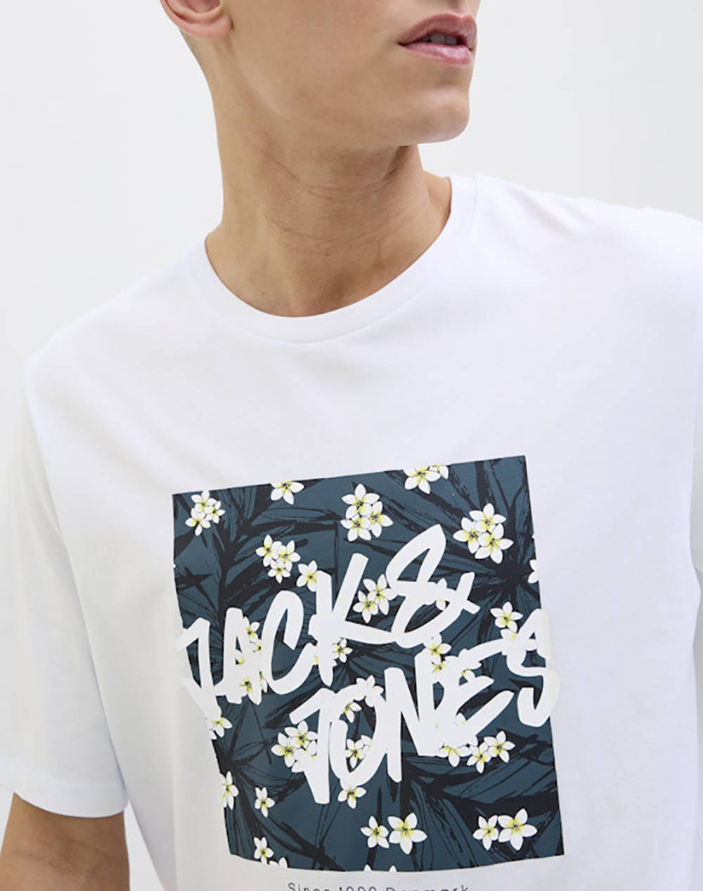 JACK&JONES JJHAWAII SHAPE TEE SS CREW NECK LN