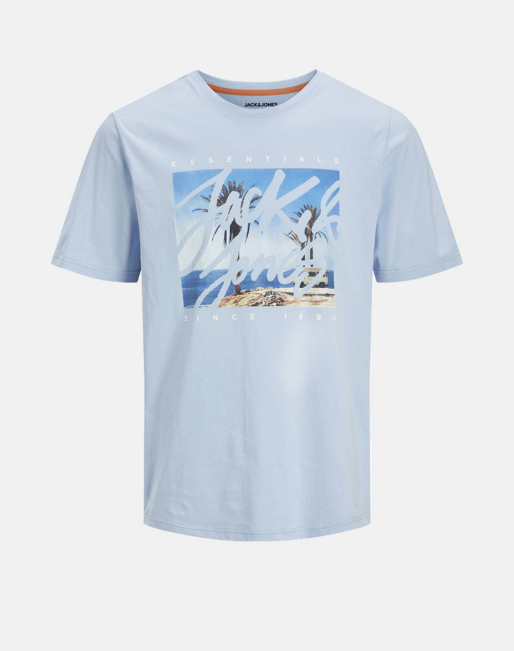 JACK&JONES JJCOLTON PHOTOPRINT TEE SS CREW NECK