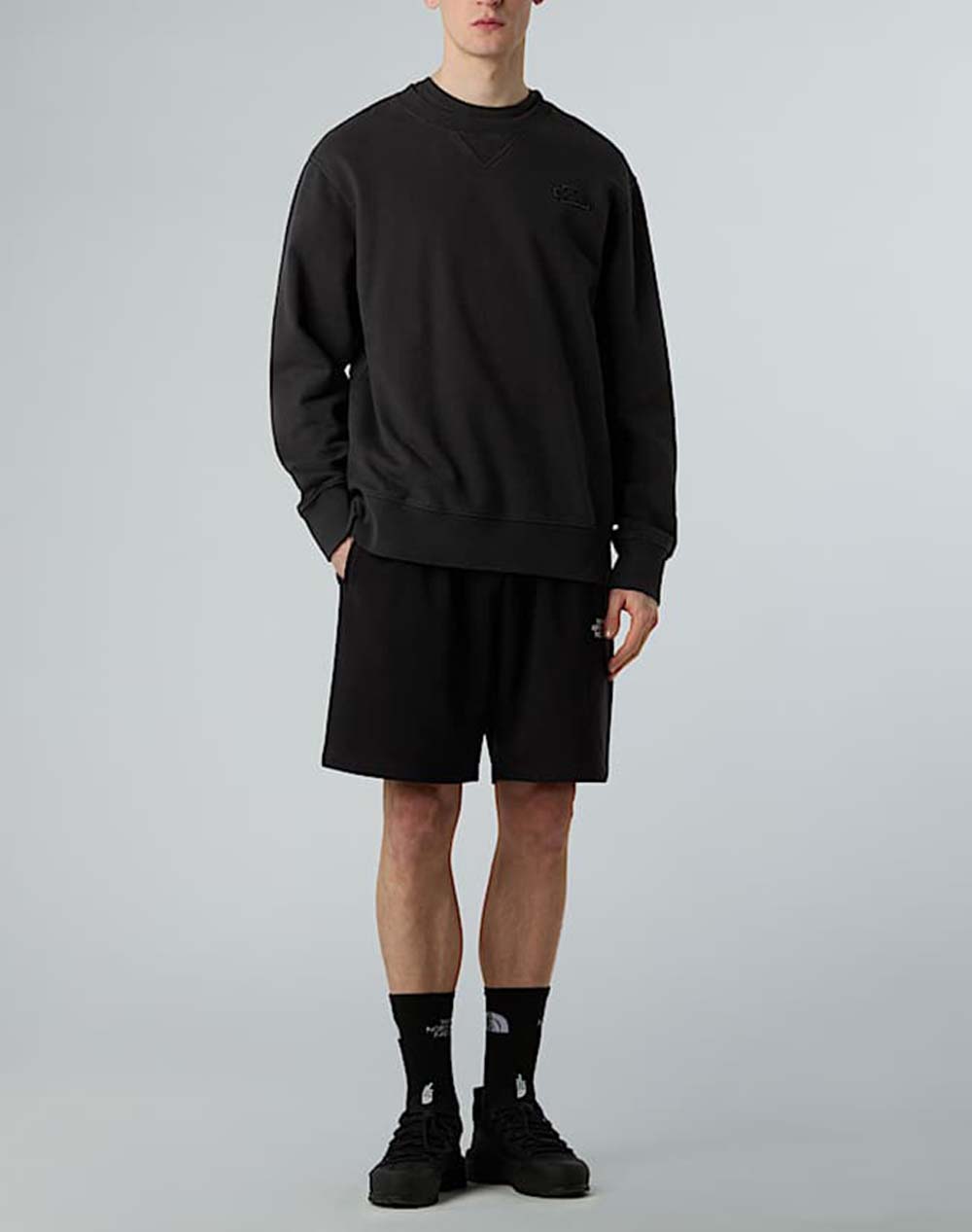 THE NORTH FACE M ESSENTIAL RELAXED SHO