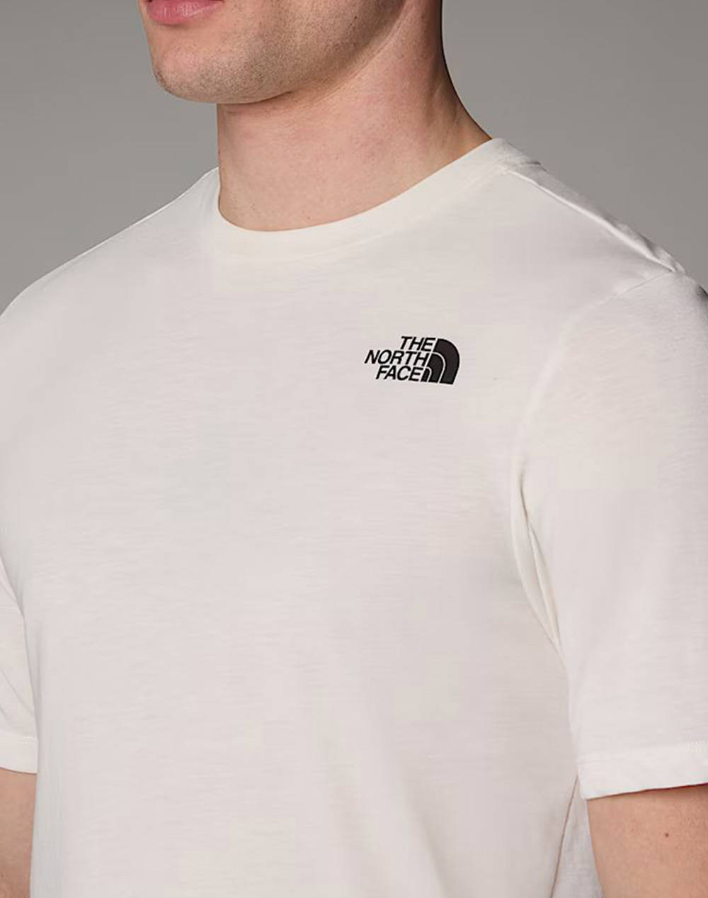 THE NORTH FACE M FOUNDATION MOUNTAINS