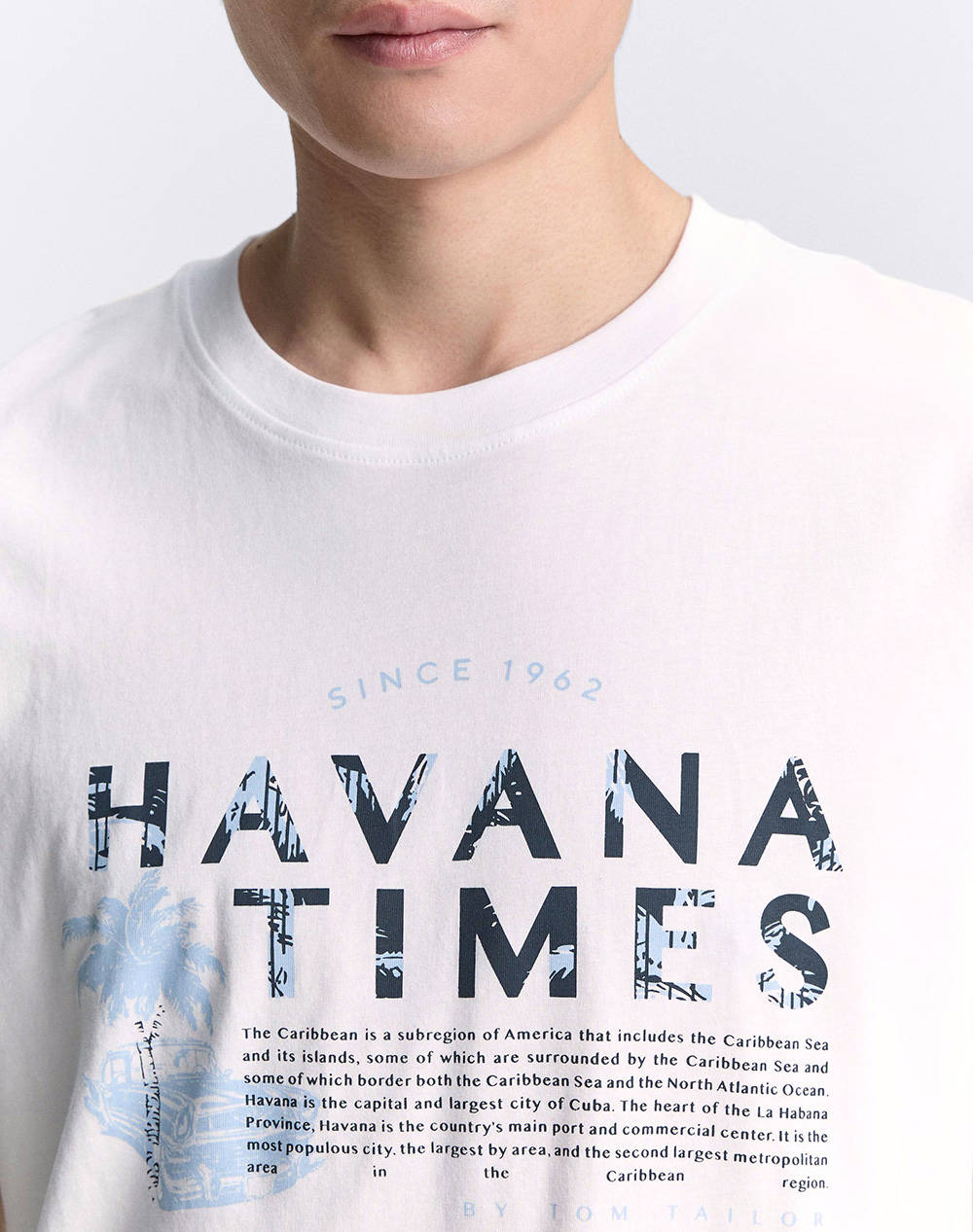 TOM TAILOR PRINTED T-SHIRT МЪЖКА ТЕНИСКА