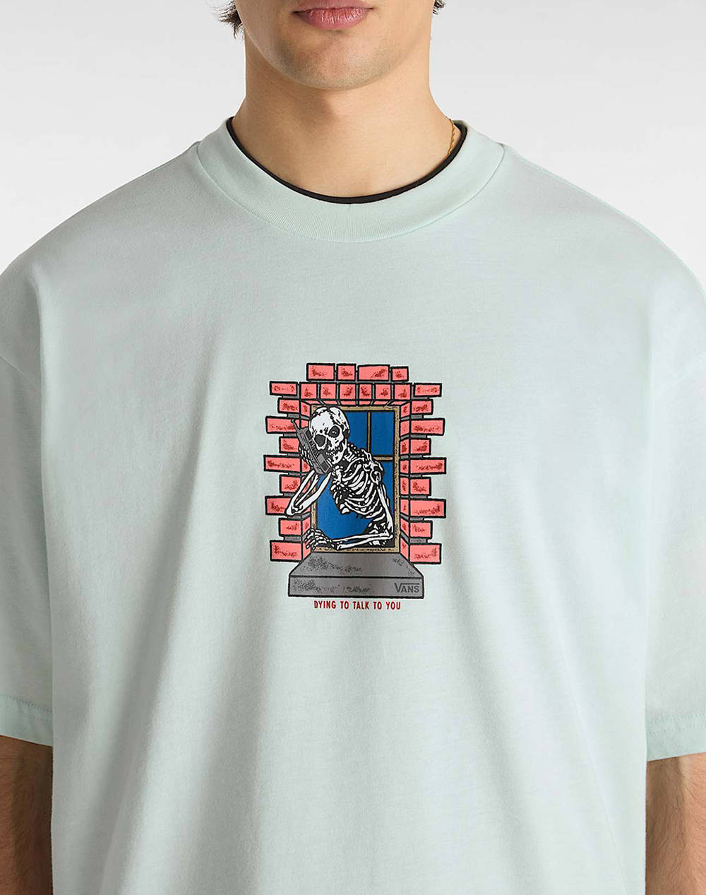 VANS Skull Window SS
