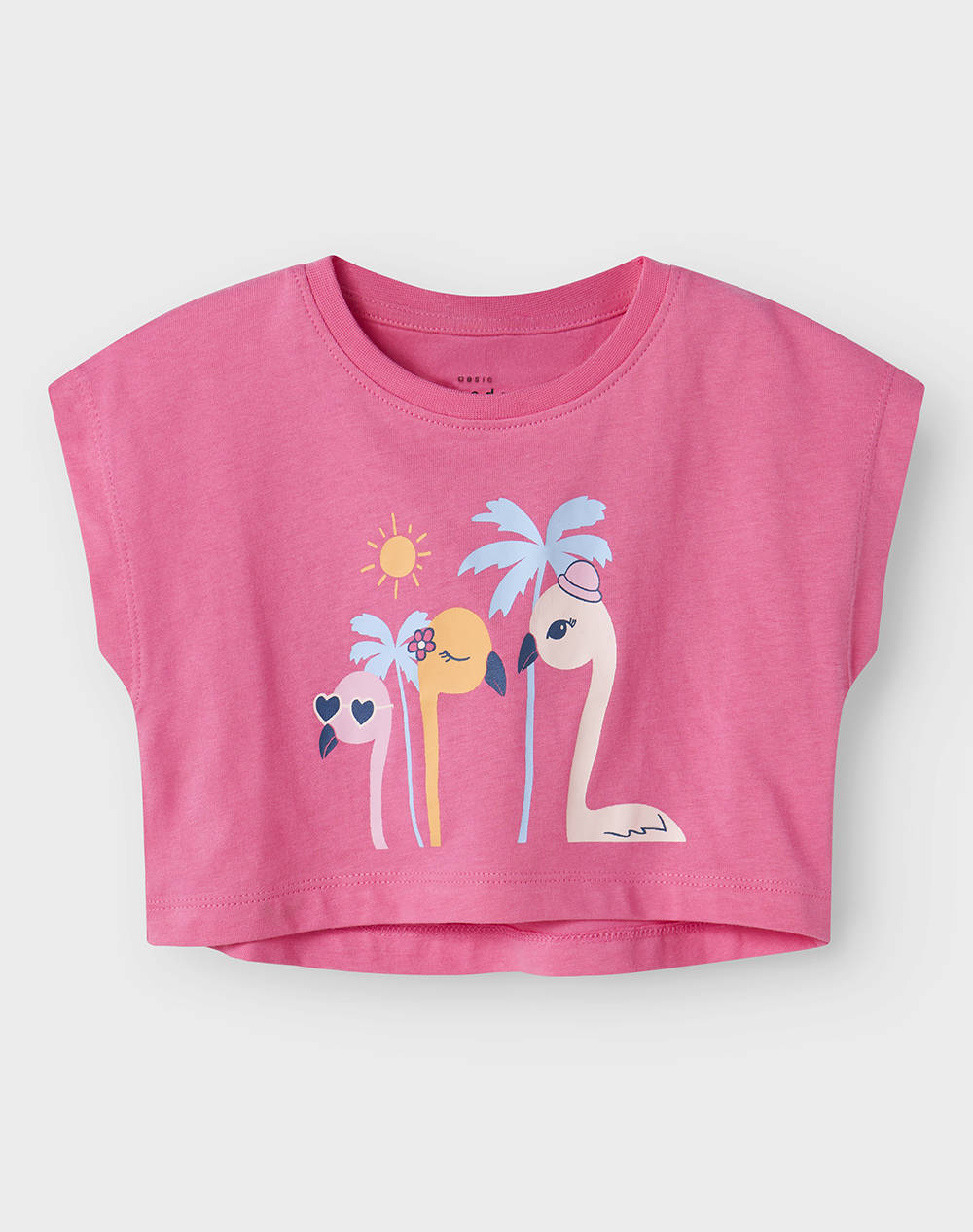 NAME IT NMFVILMA CAPSL CROP TOP