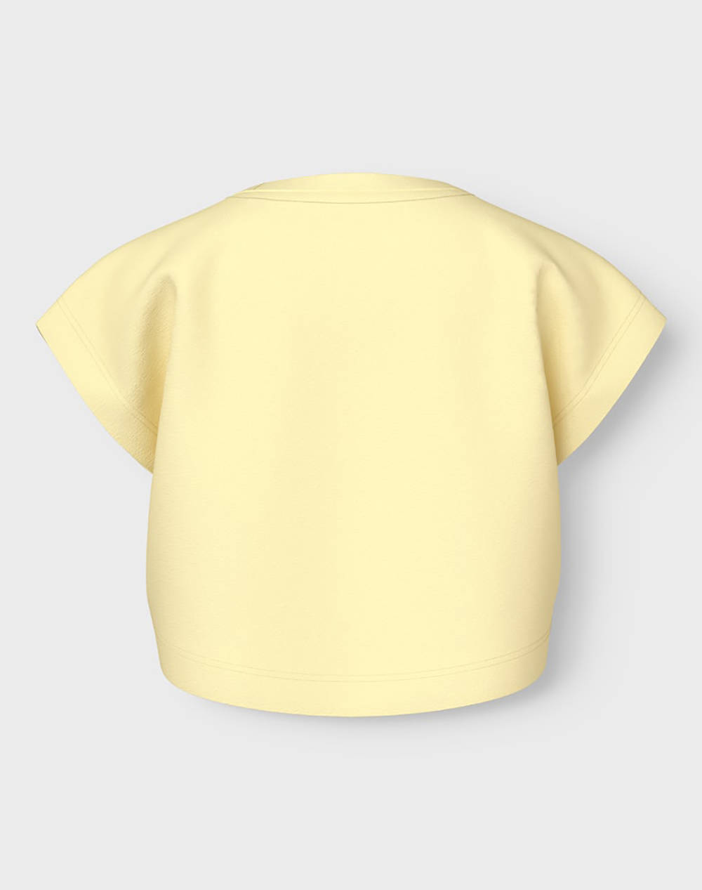 NAME IT NMFVILMA CAPSL CROP TOP