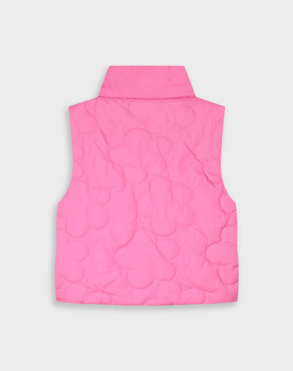 ENERGIERS SLEEVELESS JACKET