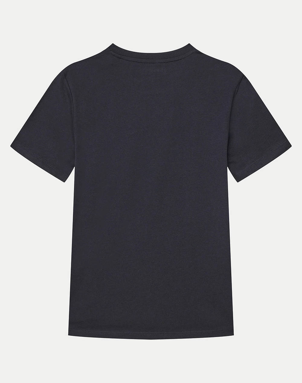 GUESS SS T-SHIRT - MID ORGANIC COTTON 160 ТЕНИСКА B