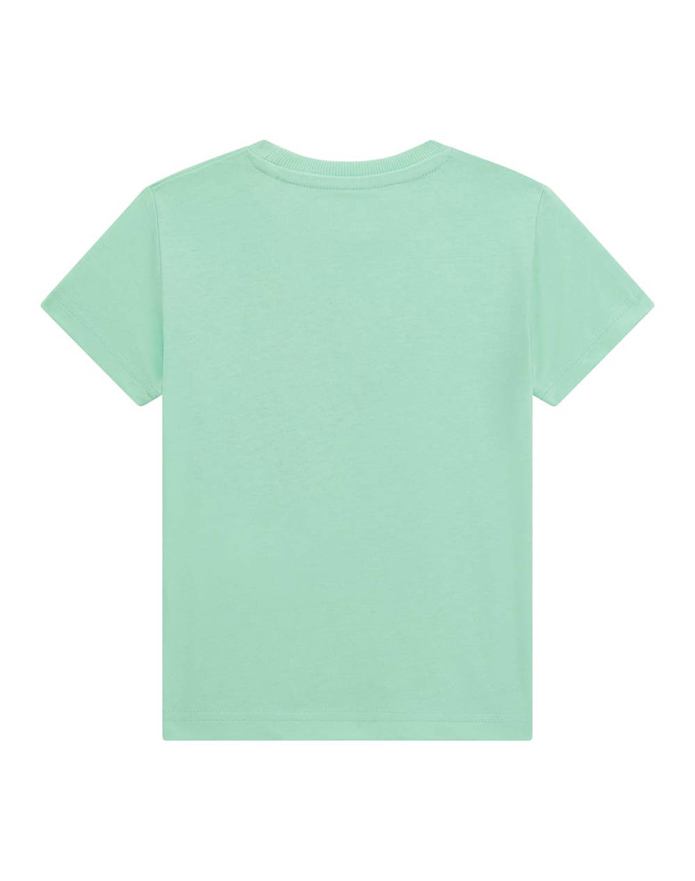GUESS SS T-SHIRT - MID ORGANIC COTTON 160 ТЕНИСКА B