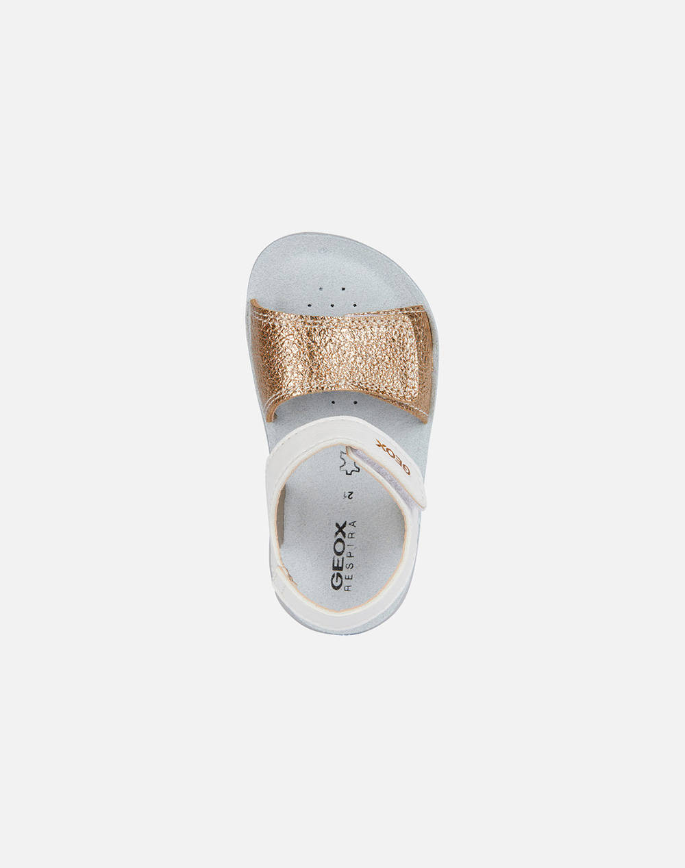 GEOX B SANDAL LIGHTFLOPPY B - GBK