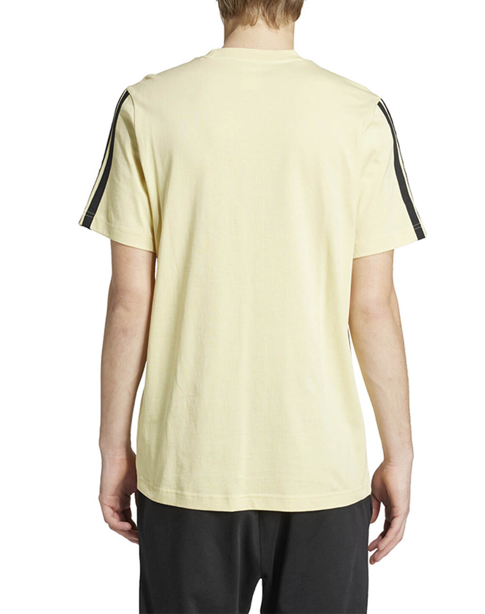 ADIDAS M 3S SJ T
