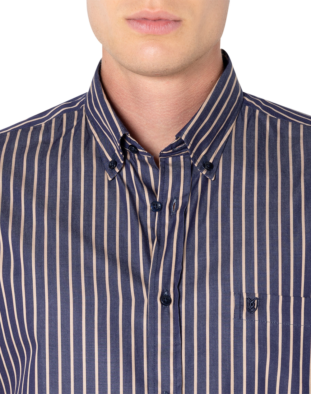 THE BOSTONIANS РИЗА ACORN TWILL REGULAR FIT Stripe TWILL Button-down Regular FIT