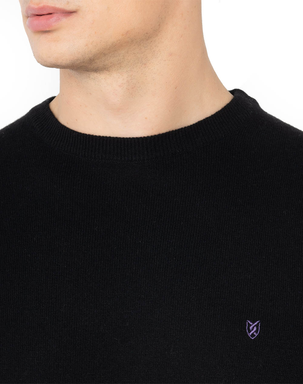 THE BOSTONIANS KNITTING LAMBSWOOL CUTTING REGULAR FIT