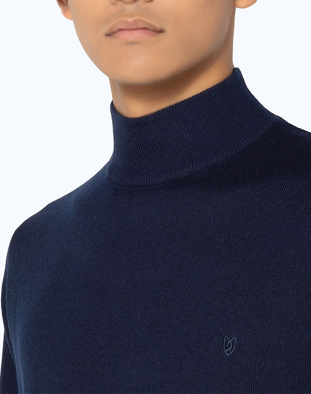 THE BOSTONIANS KNITTING MERINO REGULAR FIT