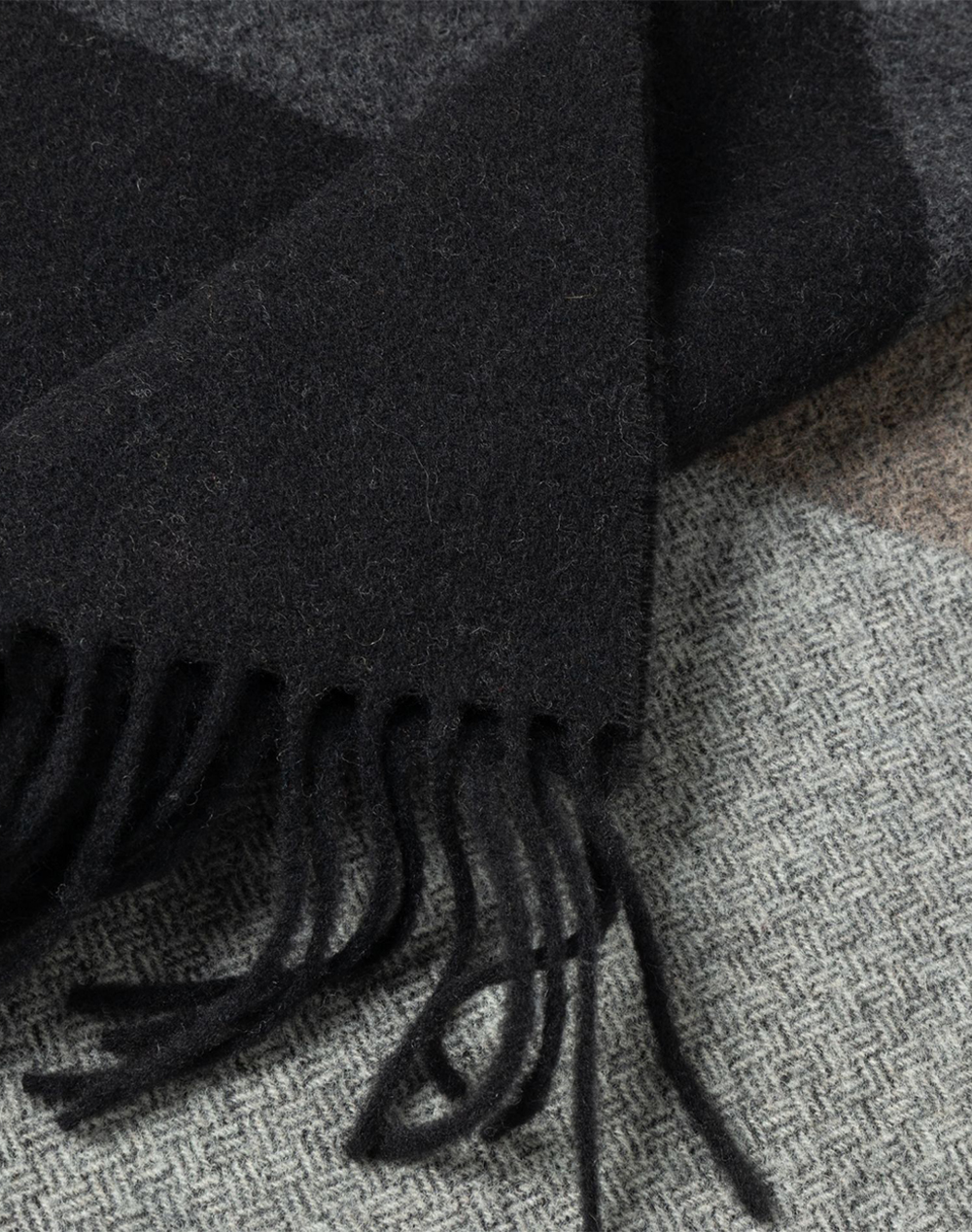 THE BOSTONIANS SCARF ACORN