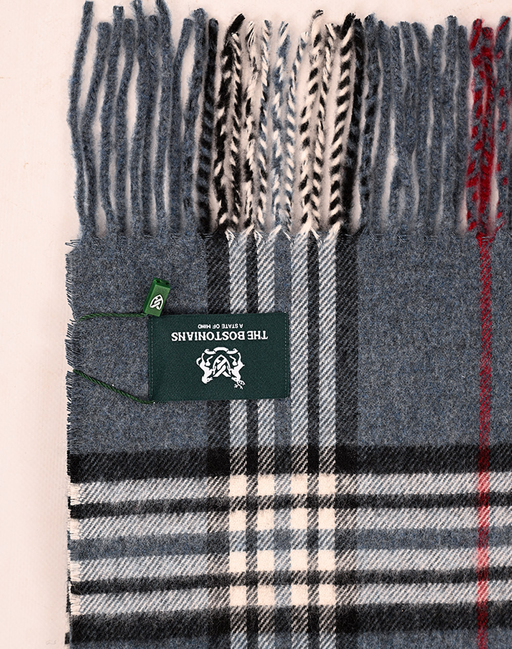 THE BOSTONIANS SCARF COPLEY