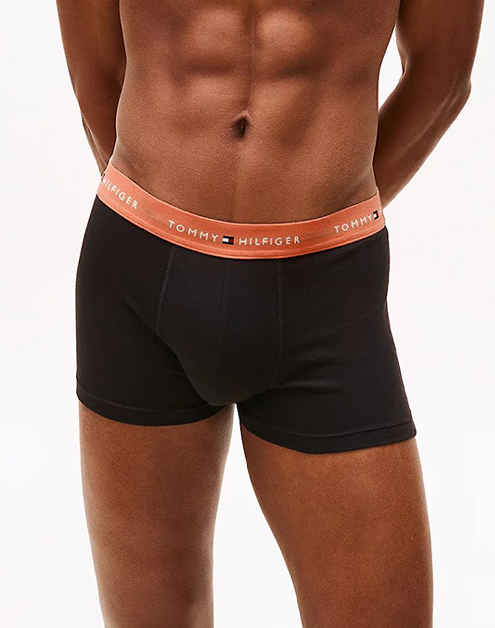 TOMMY HILFIGER 3P WB TRUNK