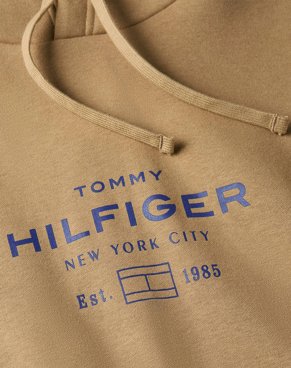 TOMMY HILFIGER OVAL GRAPHIC HOODIE