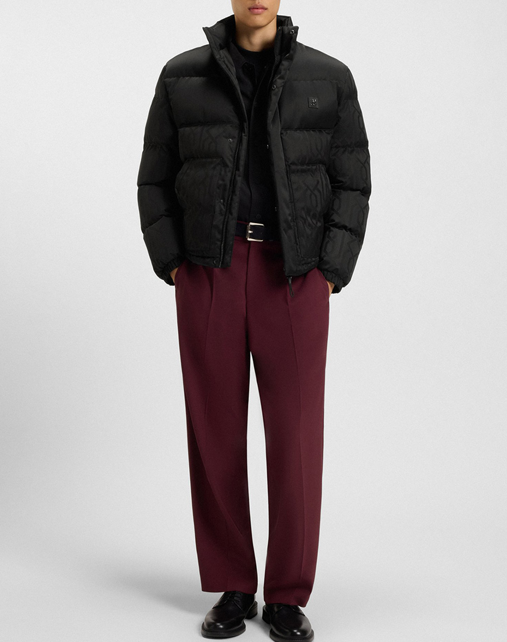 HUGO Balto2541 10274518 01