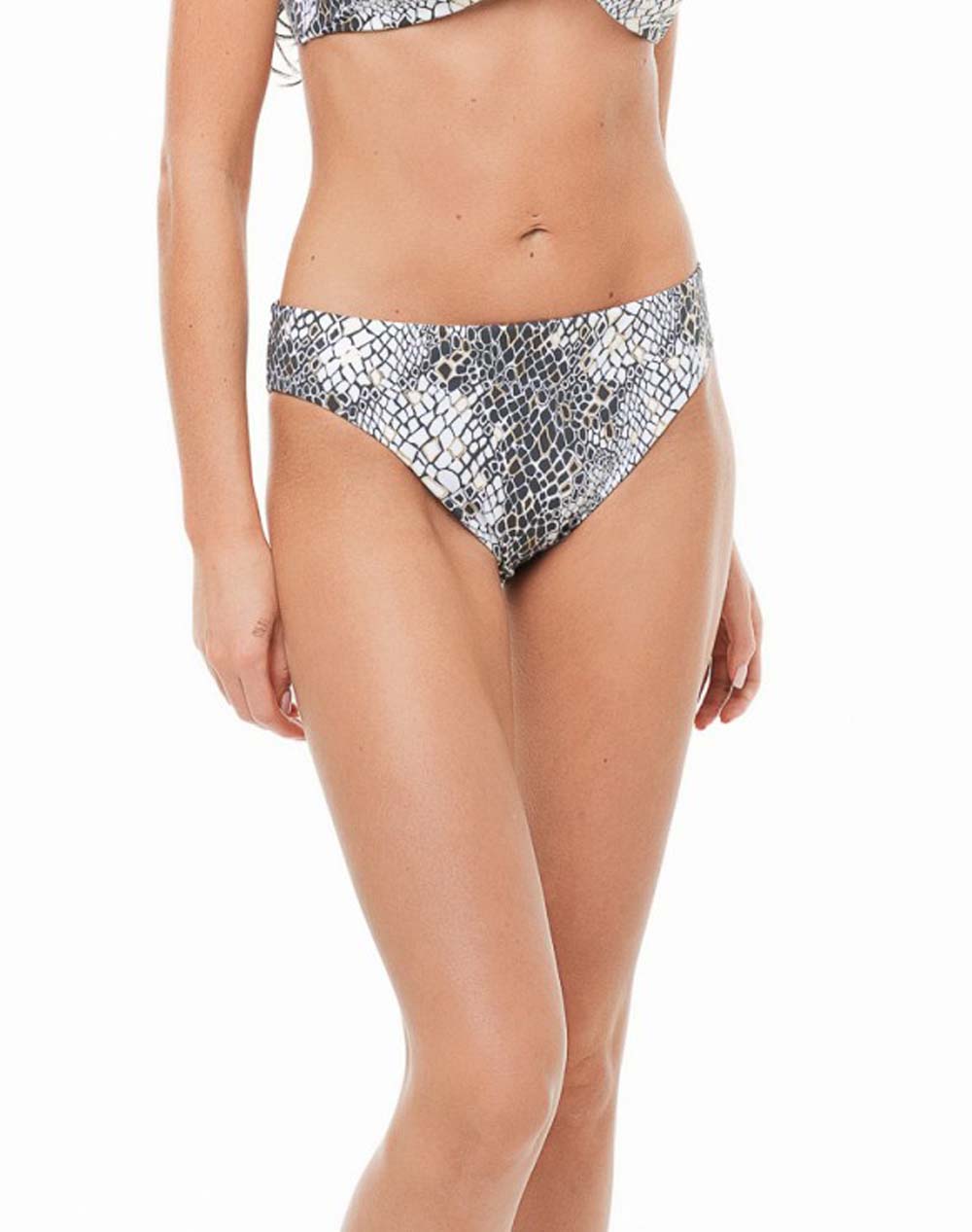 BLUEPOINT SHORTS
