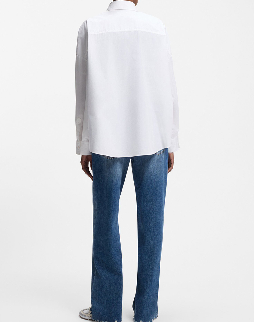 HBLU Edafne_B 10262998 01