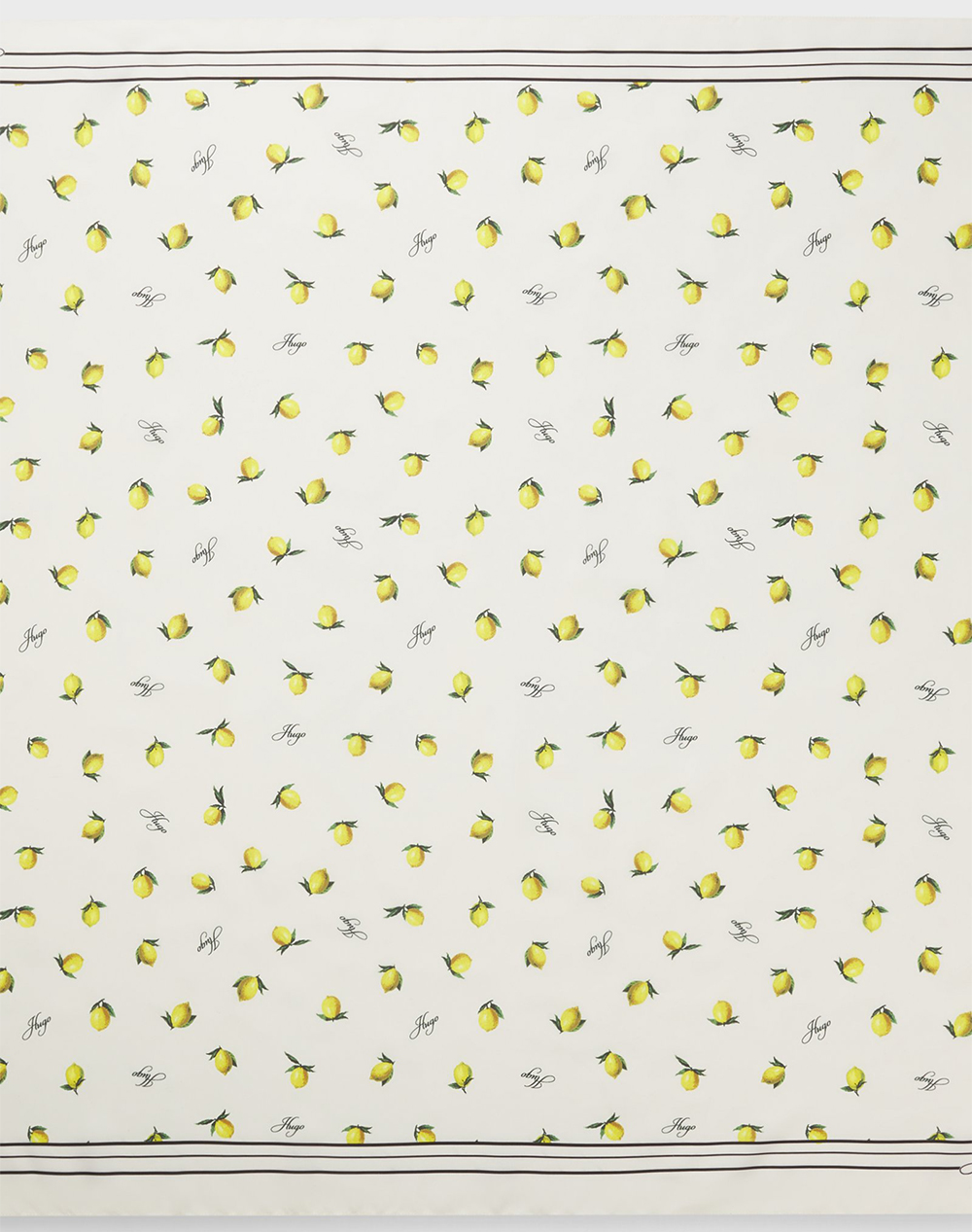 HUGO Auraize_90*90 10269413 01