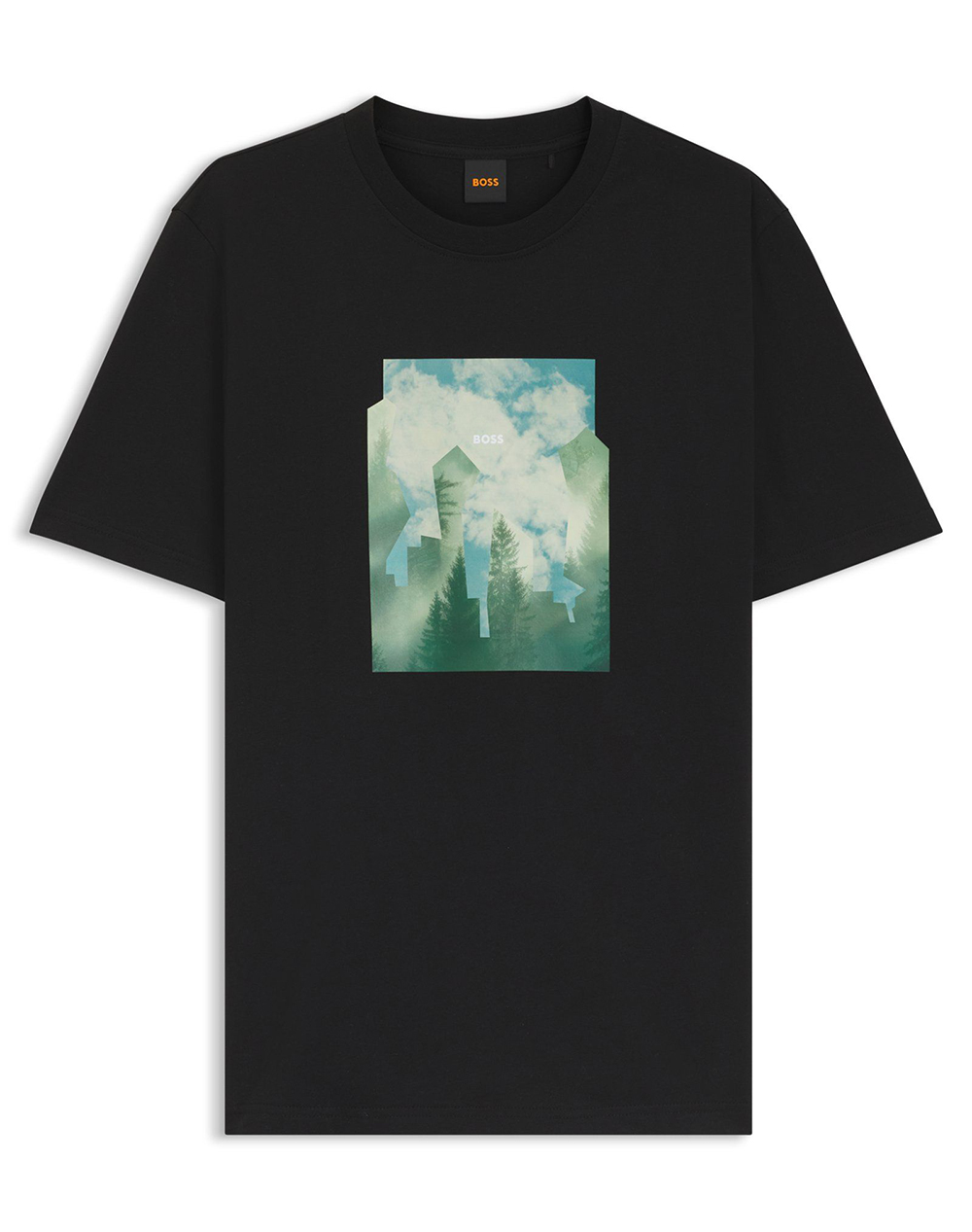 BOSS Te_Cover 10277382 01