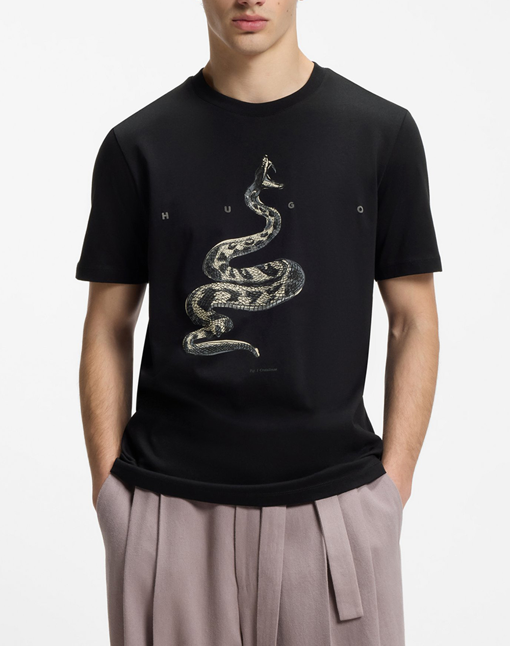 HUGO Discorb 10258299 01