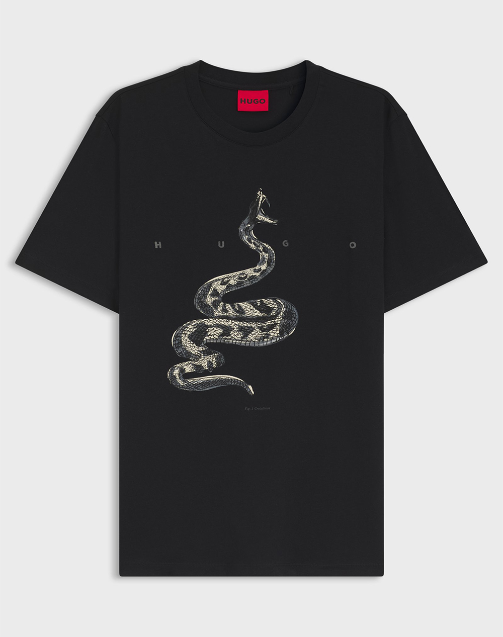 HUGO Discorb 10258299 01