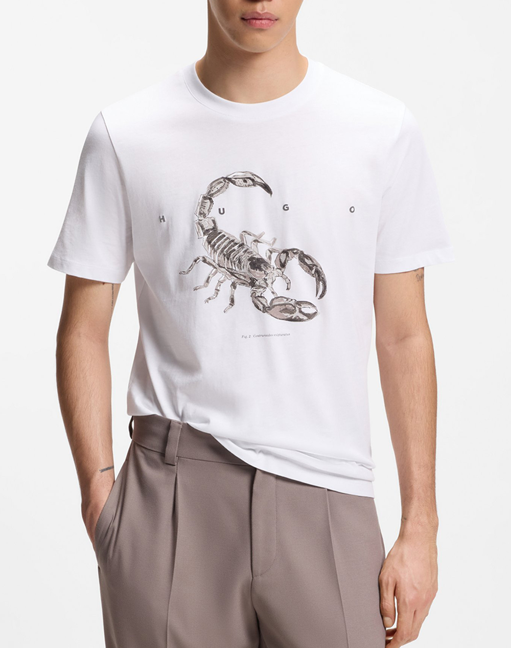 HUGO Discorb 10258299 01