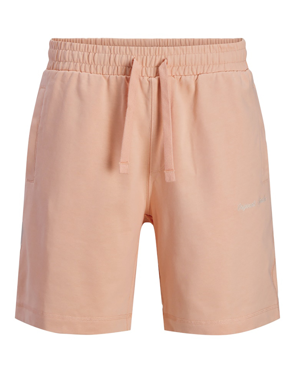 JACK&JONES JPSTKARL NORREBRO SWEAT SHORTS REG SN