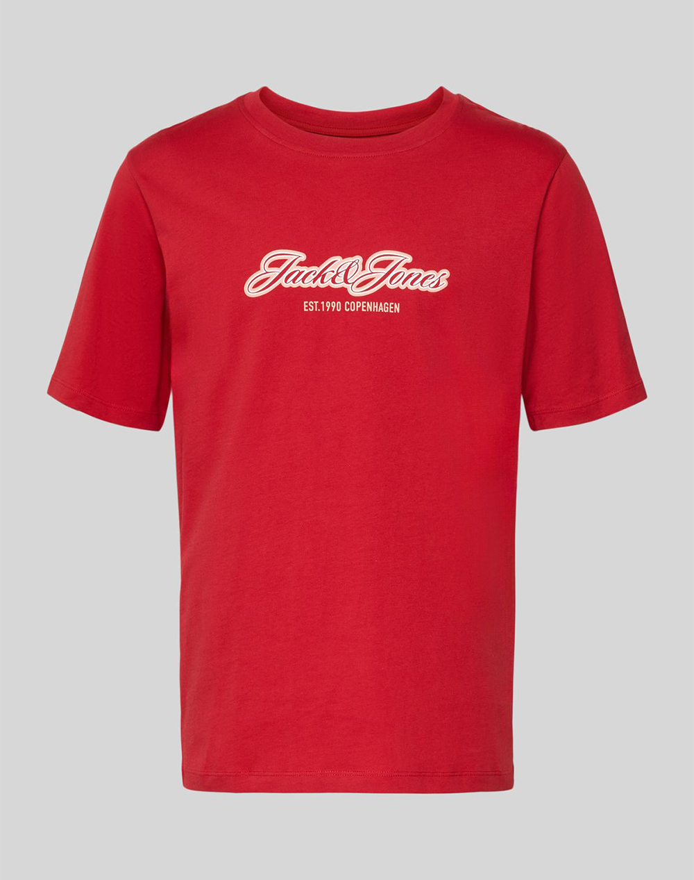 JACK&JONES JORCATSKILLS BALLON TEE SS CN FST