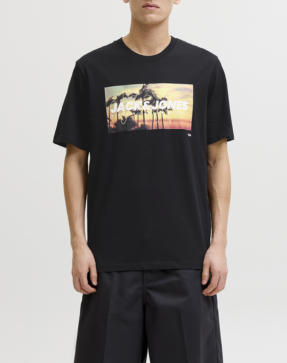 JACK&JONES JJINDIANA TEE SS CREW NECK LN