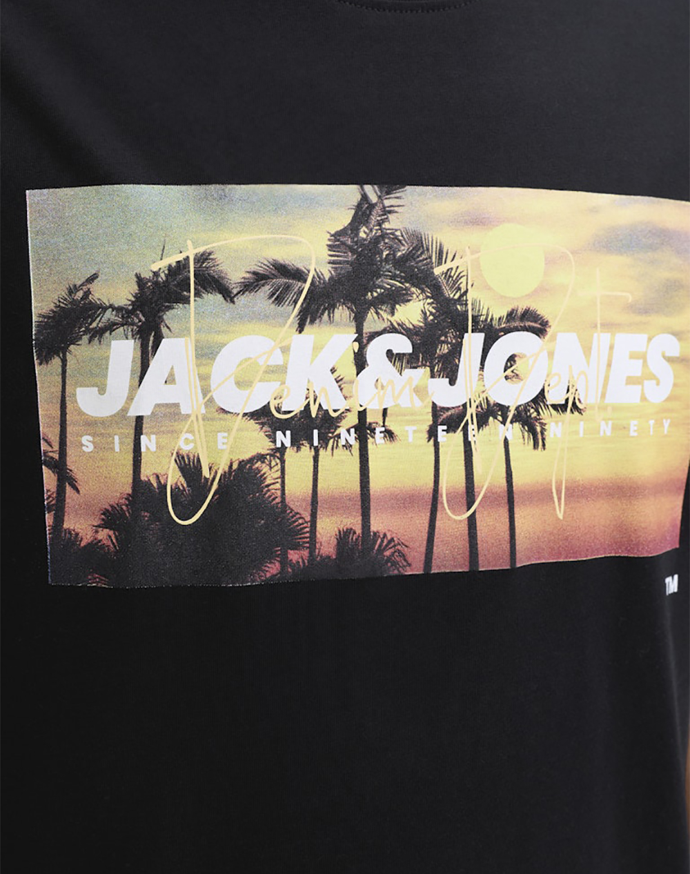 JACK&JONES JJINDIANA TEE SS CREW NECK LN
