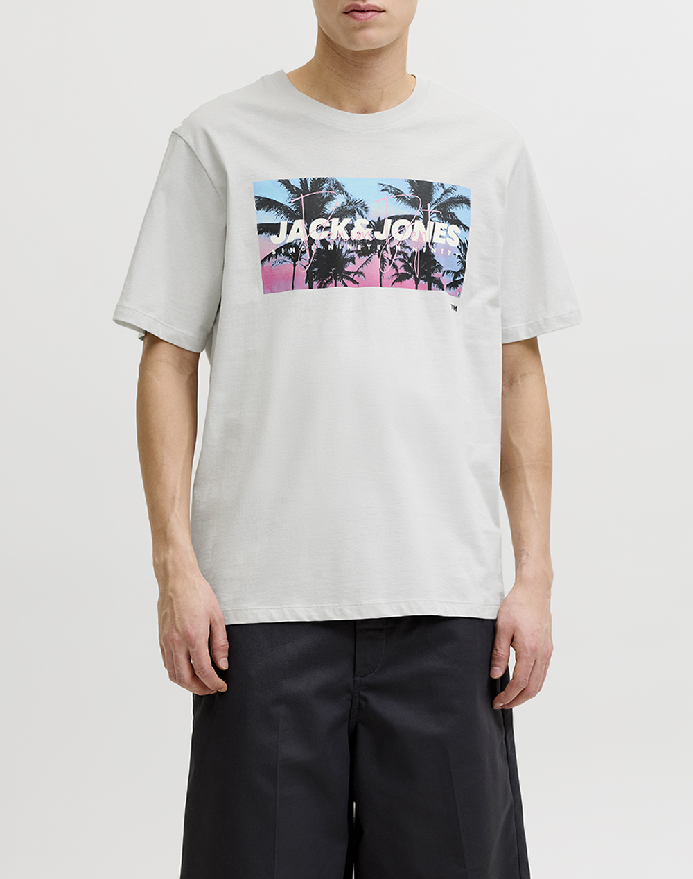 JACK&JONES JJINDIANA TEE SS CREW NECK LN