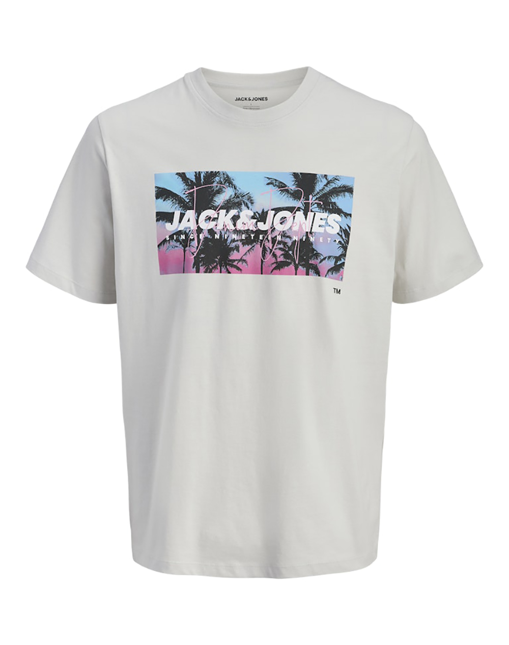 JACK&JONES JJINDIANA TEE SS CREW NECK LN
