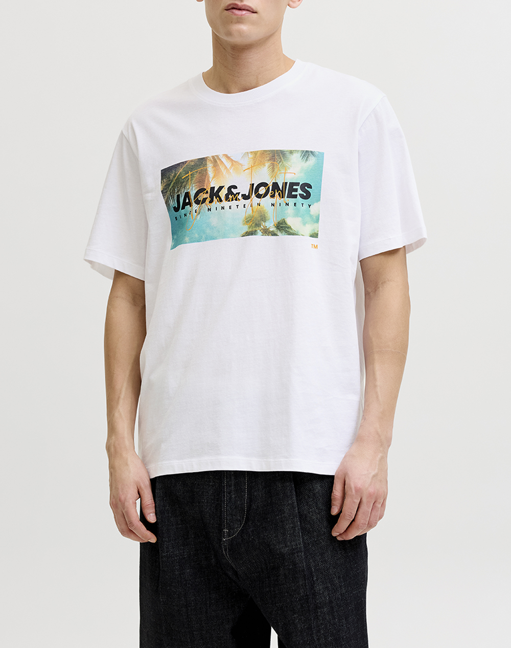 JACK&JONES JJINDIANA TEE SS CREW NECK LN