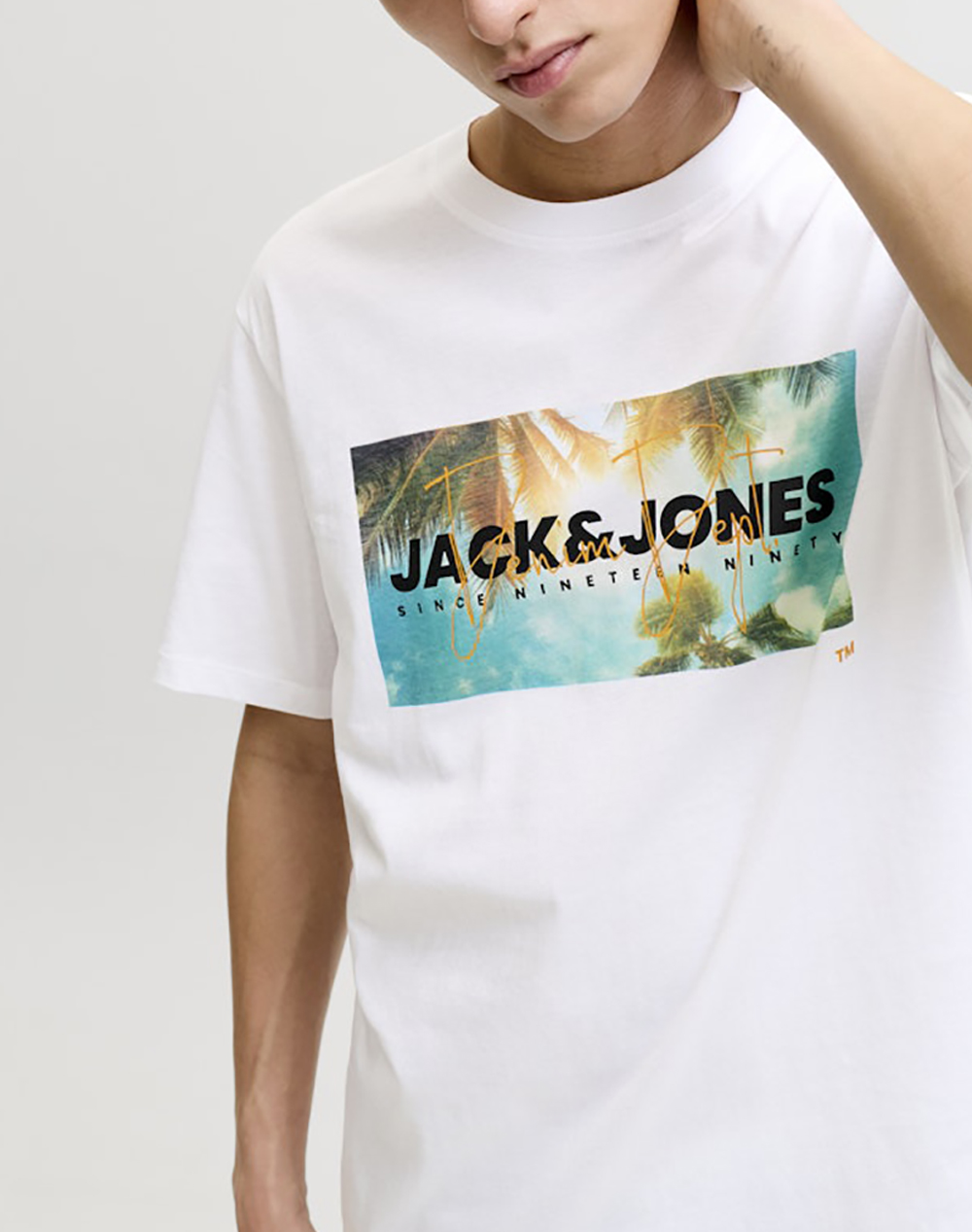 JACK&JONES JJINDIANA TEE SS CREW NECK LN