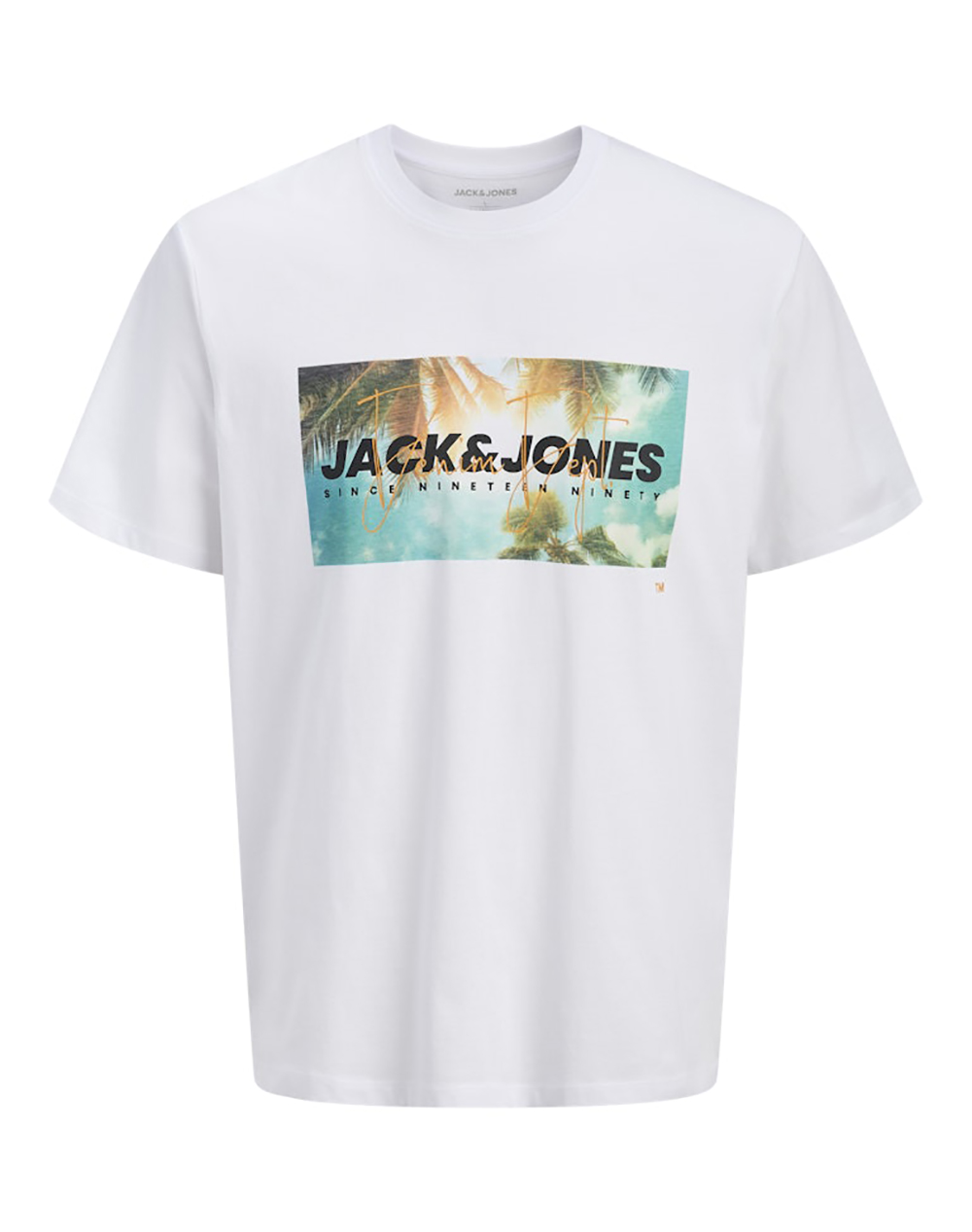 JACK&JONES JJINDIANA TEE SS CREW NECK LN