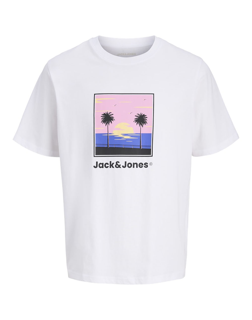 JACK&JONES JJPERRY TEE SS CREW NECK