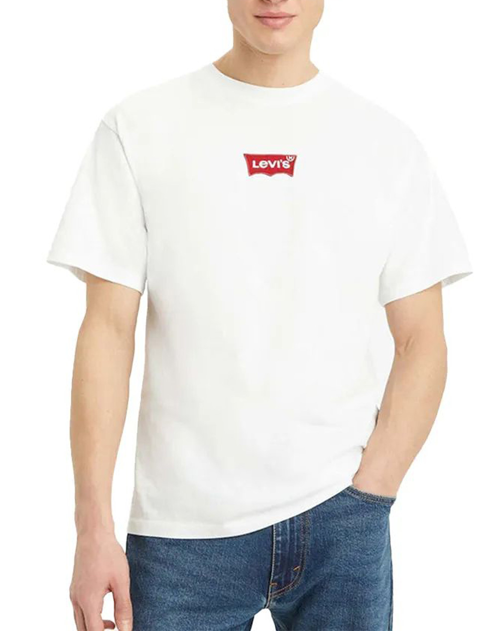 LEVIS LSE_VINTAGE FIT GR TEE