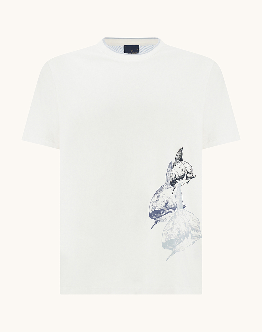 PAUL&SHARK T-Shirt