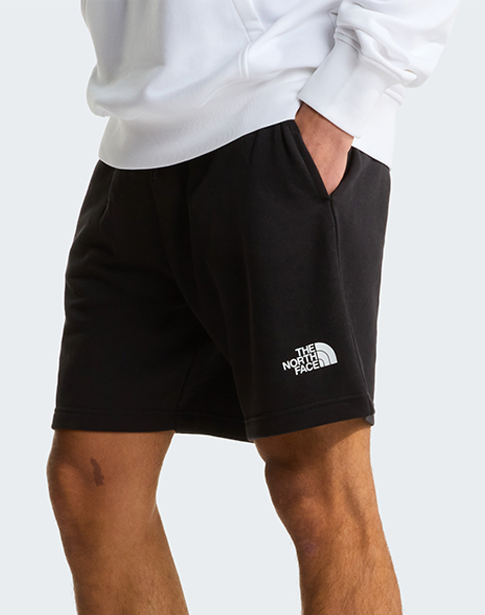 THE NORTH FACE M SD LT RG SHTS