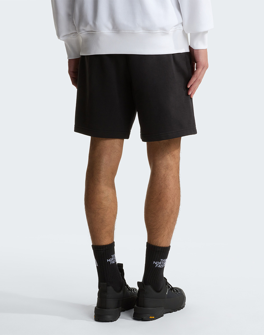 THE NORTH FACE M SD LT RG SHTS