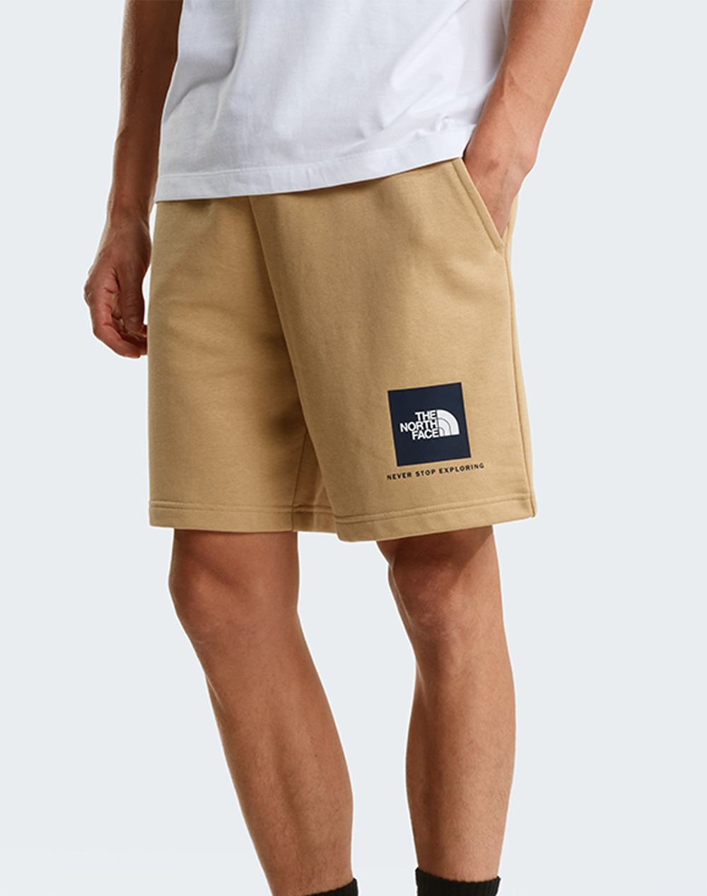 THE NORTH FACE M BOX NSE LT RG